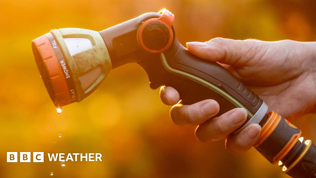 Is there a hosepipe ban in my area? What you need to know as restrictions widen