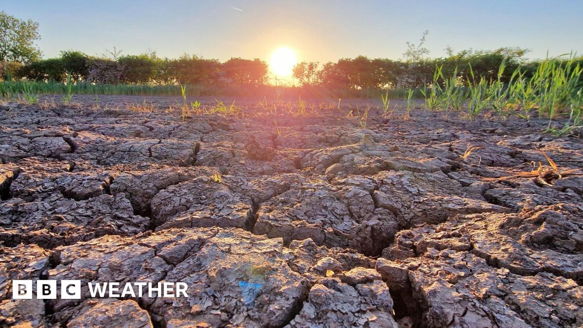UK on track for driest spring on record with no rain in sight