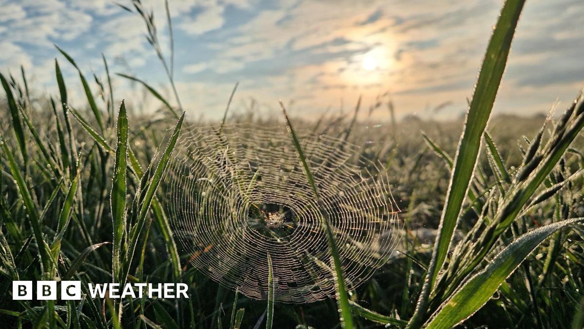 Chilly Arctic Air Mass Sends UK Temperatures Plunging 10°C Below Last Week's Highs