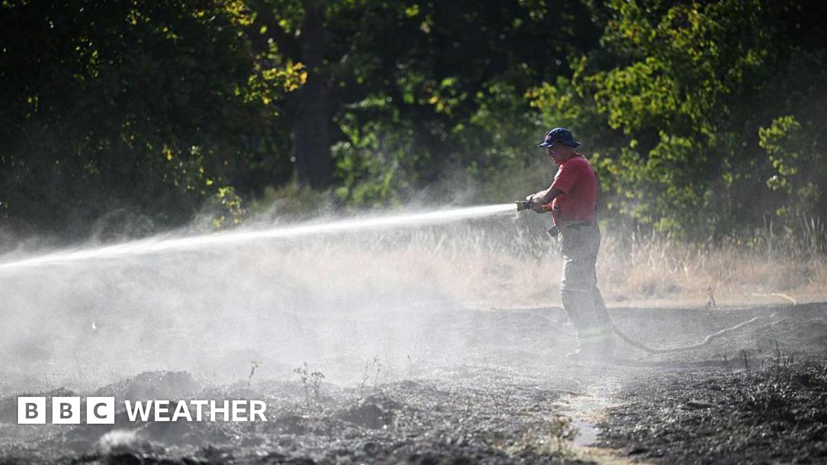Warning of record global temperatures as chance of very strong El Niño grows