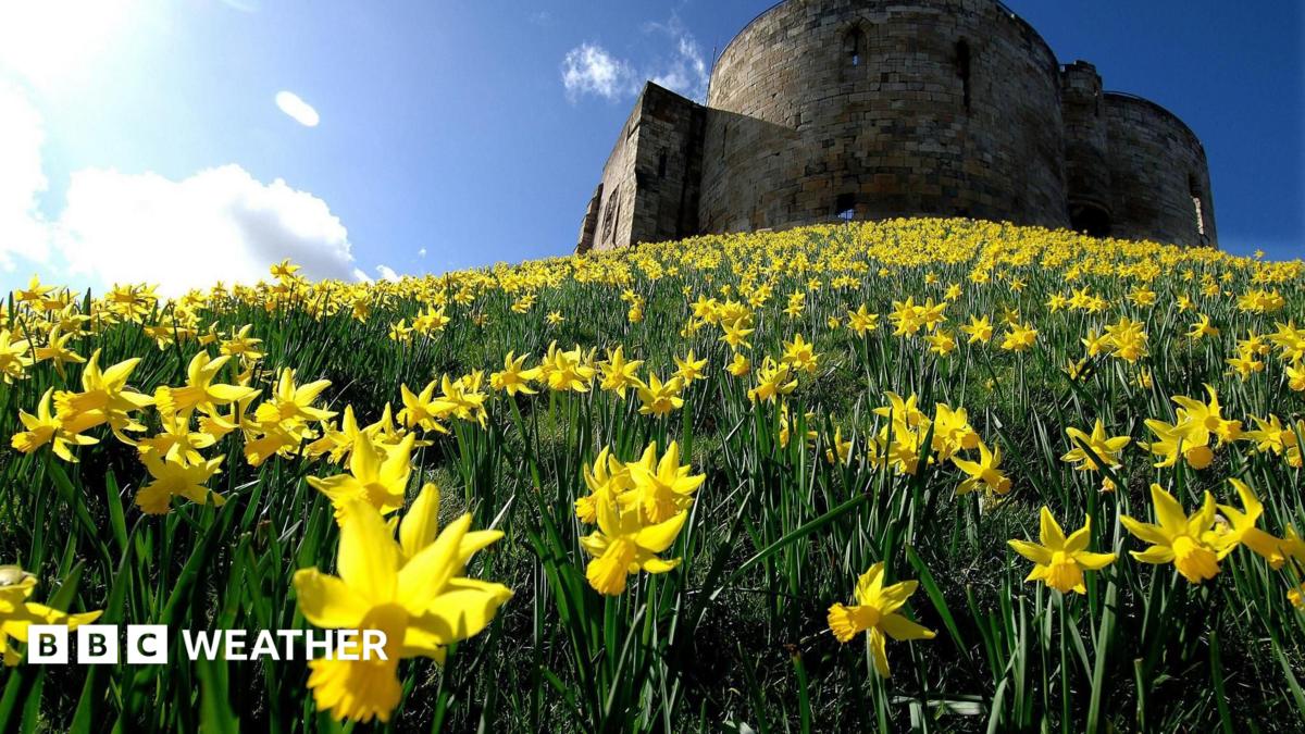 BBC Weather's end of year quiz 1: Spring 2024 - BBC Weather