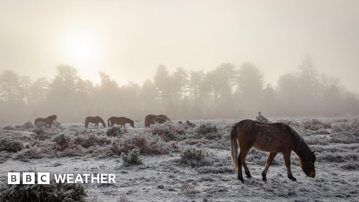 Five days of snow and ice warnings as 2026 begins with Arctic blast