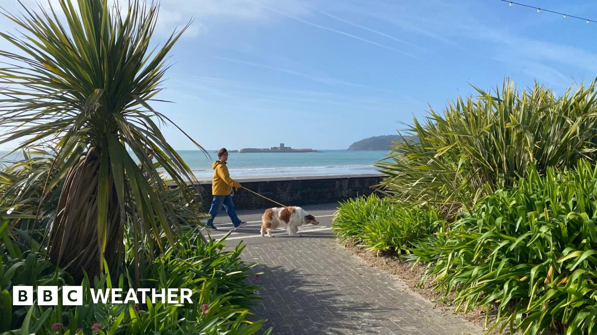 Rain set to ease for the weekend as sunshine returns