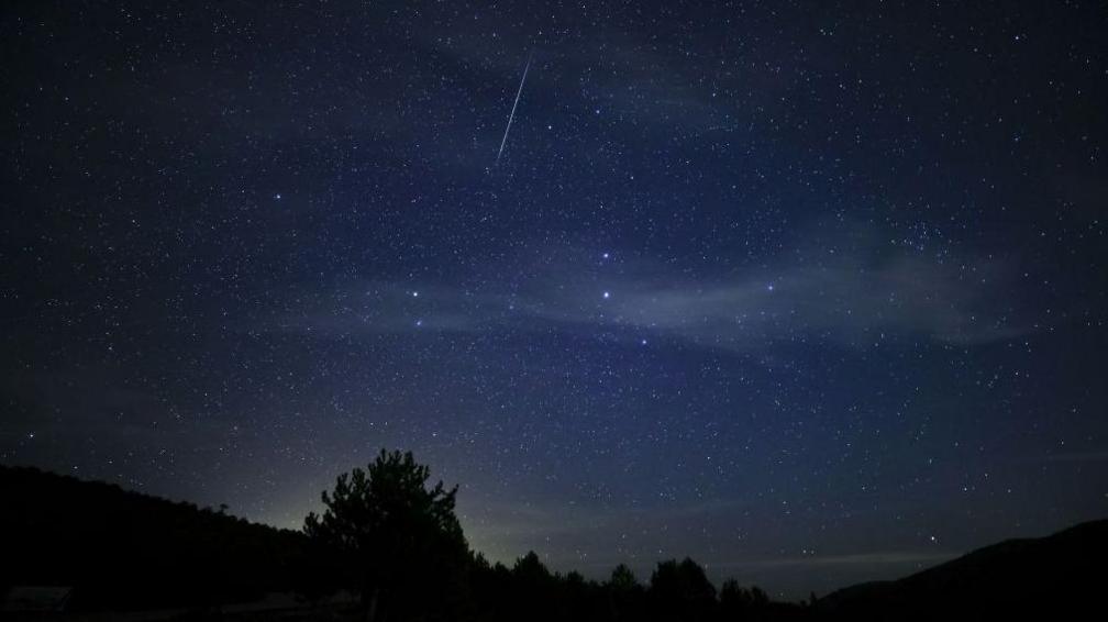 Quadrantid meteor streaks across a night sky. Silouette of of trees and hills in the foreground.