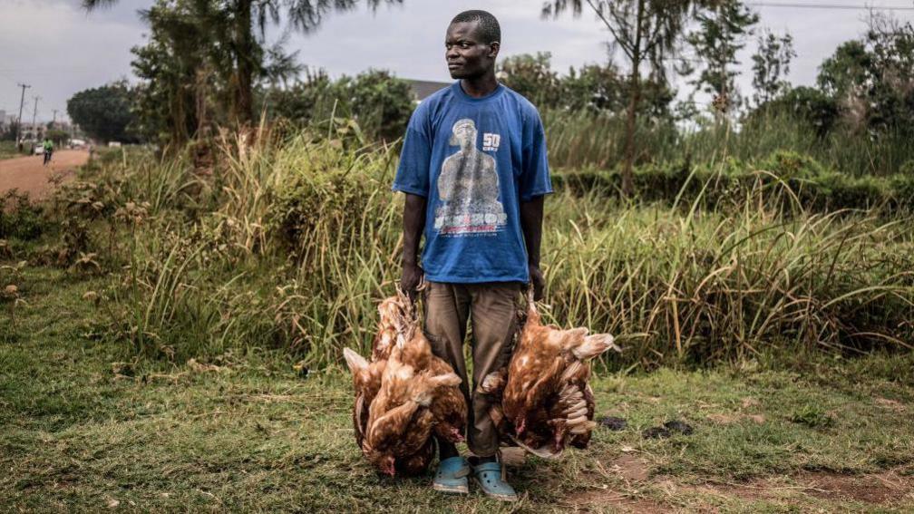A man in a blue T-shirts stands on a grassy verge with live chickens in his hands.