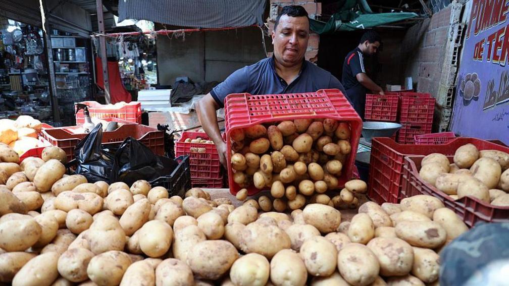 A man in a blue T-shirt tipping a red crate of potatoes into his market display. There is a large pile of potatoes in front of him - Sunday 17 August 2025.