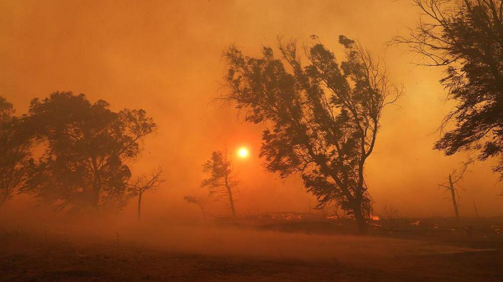 forest fire that broke out in Krioneri near Athens, Greece on July 26, 2025