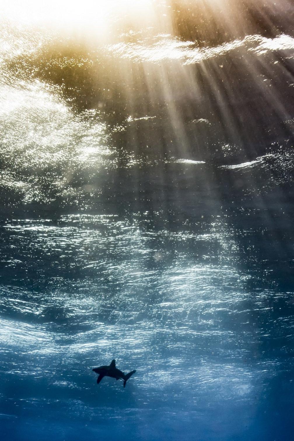 Oceanic in the Sky