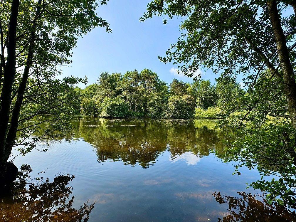 Trees on the other side of a lake are reflected in the lake's surface with blue sky overhead.