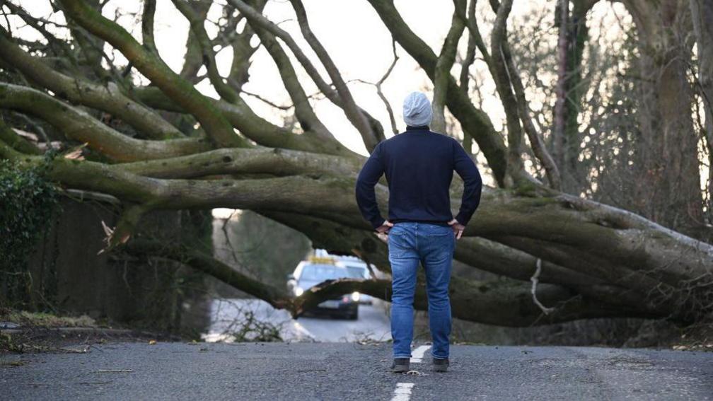 large tree fallen across a road with a man surveying the seen and blocked road