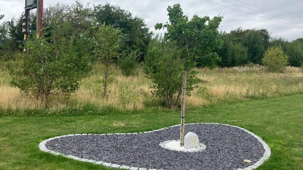 A memorial tree with a plaque at Gedling Crematorium