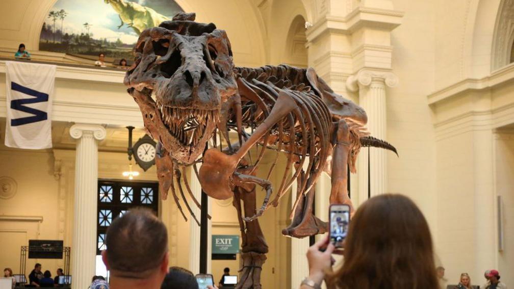 t rex with tourists taking pictures