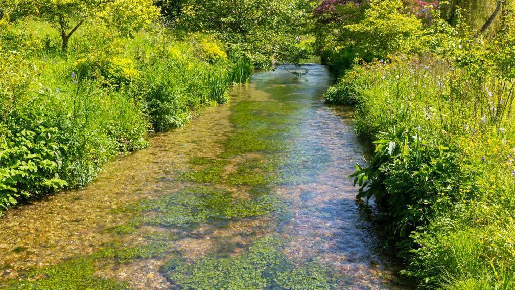 A chalk stream