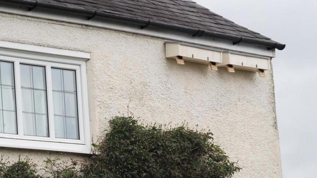 A house with swift boxes installed in Leicestershire.