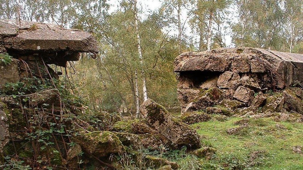 A close up image of a large concrete wall in woodland. There is a large gap in separating two parts of the wall where it was blown up