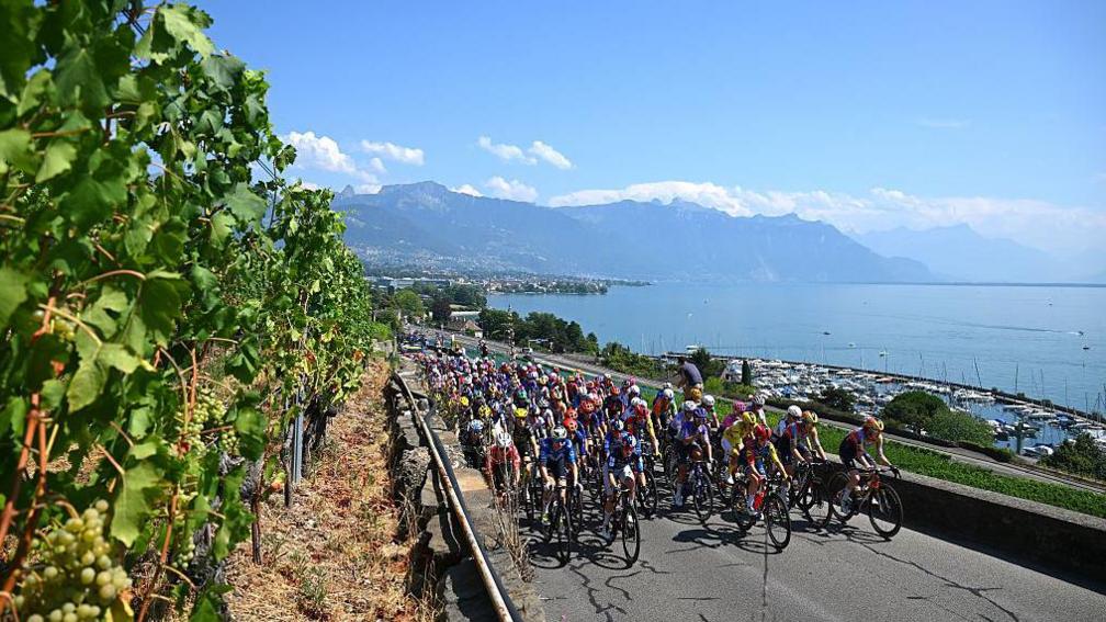 A general view of Lorena Wiebes of Netherlands and Team SD Worx - Protime - Yellow leader jersey and the peloton passing through a vineyards landscape in Laussane