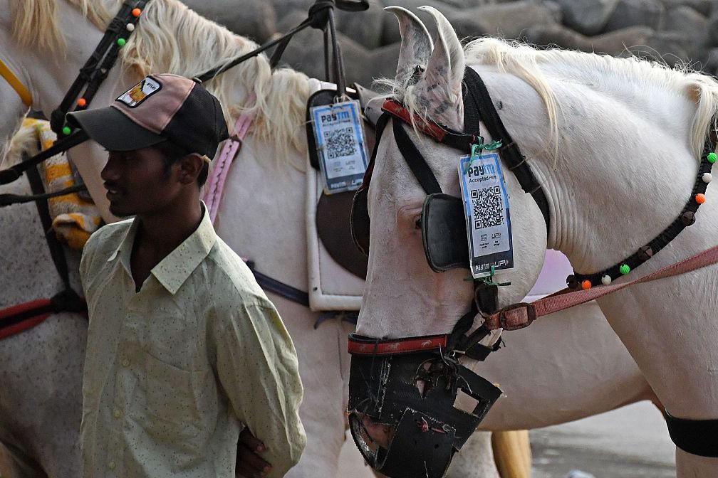 A man stands near a horse, attached with paytm scanner code near its eyes used for payment after joy ride on the beach. 