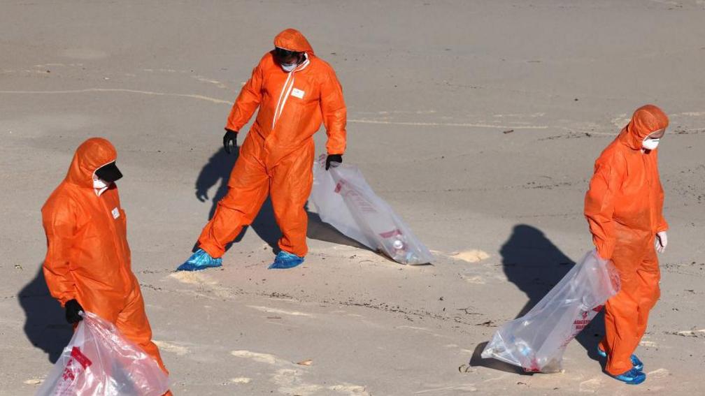 Workers in protective suits conduct a cleanup operation to clear petroleum-based "tar balls" washed ashore on Coogee Beach in Sydney on October 17, 2024.