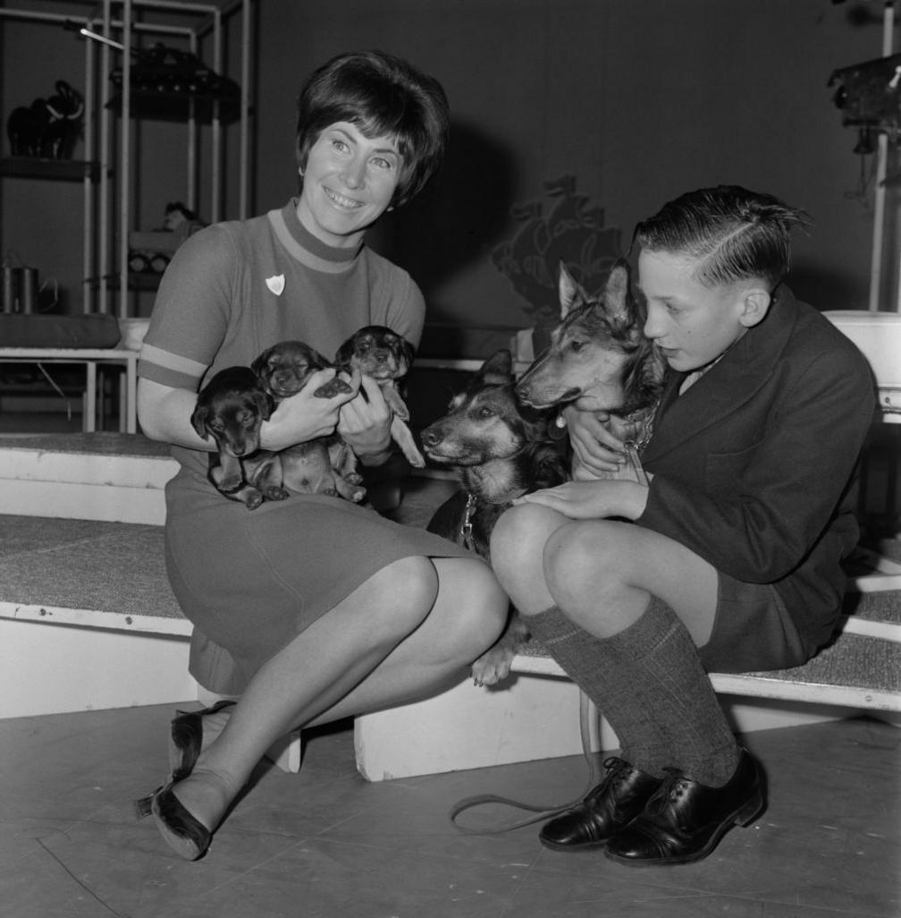 Blue Peter presenter Valerie Singleton holding three puppies while seated next to a schoolboy.
