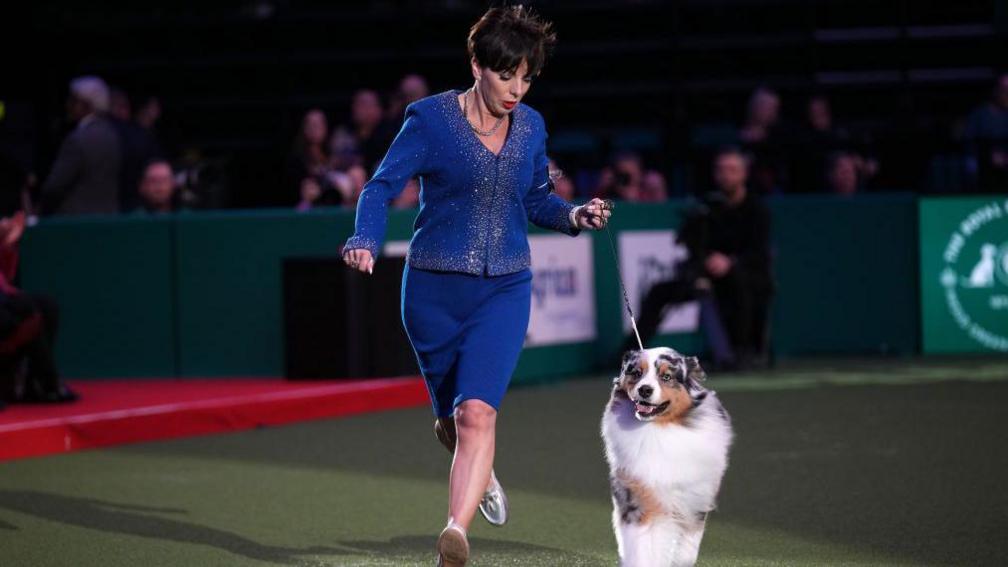 A woman is wearing a blue cardigan and a matching blue skirt. She is holding the lead of her dog, an Australian Shepherd with white fur. She is running along the ground with her dog and spectators are watching her . 