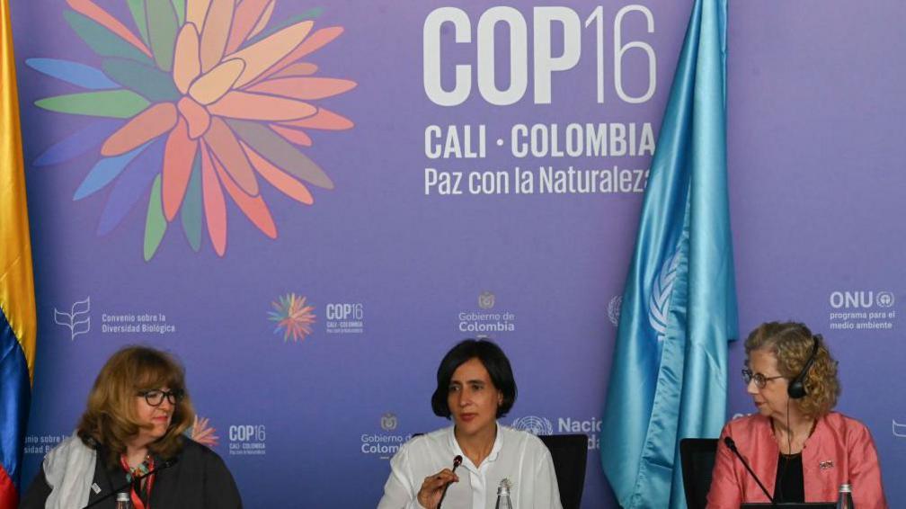 Colombian Environment Minister and COP16 president Susana Muhamad (C) speaks during a press conference next to Astrid Schomaker (L), Executive Secretary of CBD and Inger Andersen, Executive Director of UNEP, at the blue zone of the COP16 summit in Cali, Colombia on October 25, 2024