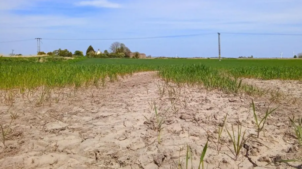 dried out ground