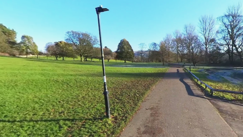 A walking path stretching through a park, flanked by a grassy field on the left, bare trees, and a clear blue sky above.