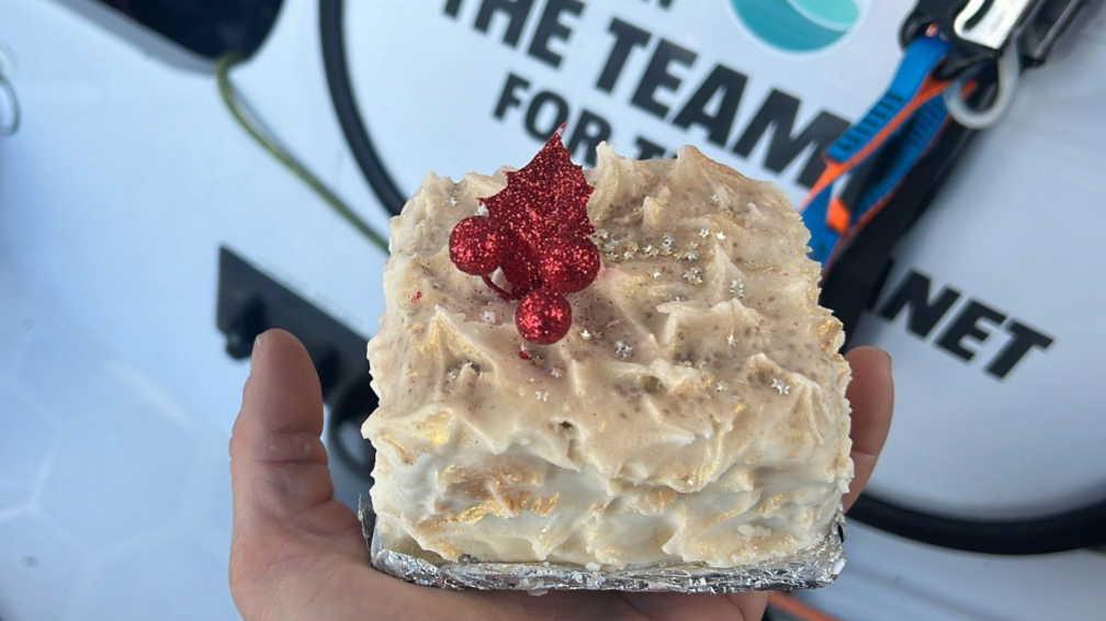 Christmas cake being held in one hand with a red decoration on top of the icing with some words in the background.