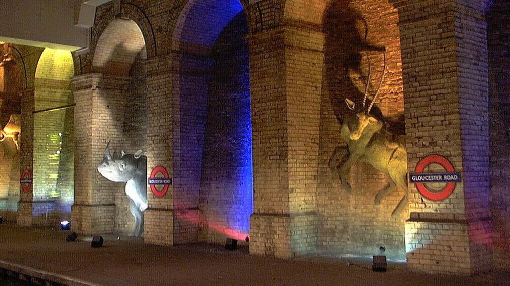 Life-like rhino and gazelle sculptures on an unused London Underground platform at Gloucester Road station.  