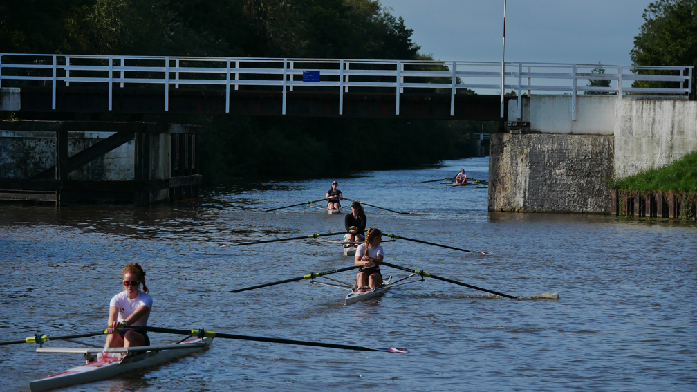 A group of five single skull rowers on a river with a bridge going over them. They are in single file, wearing sorts and t shirts.