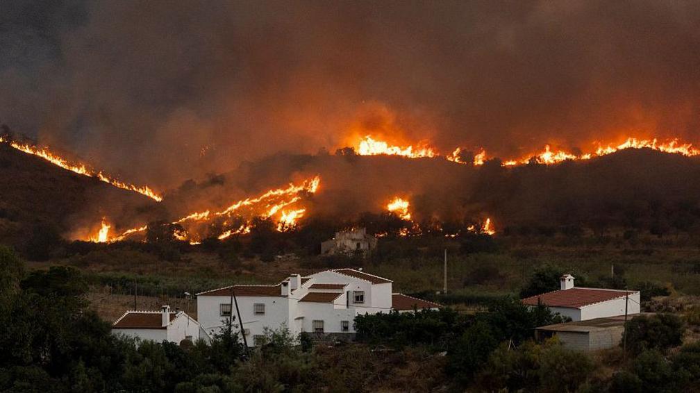 Flames and smoke rise from a wildfire as it creeps towards residential buildings near the municipality of El Pocico.