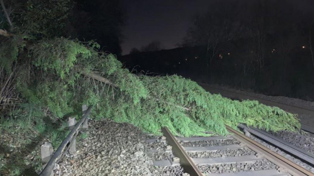 A tree down across a railway line