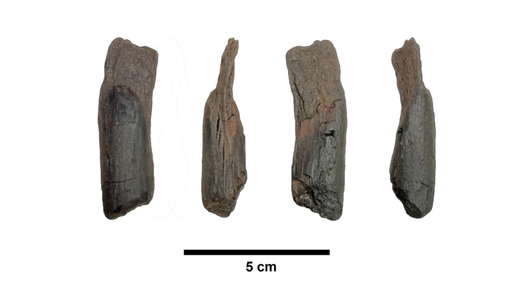 The digging or multifunctional stick. 