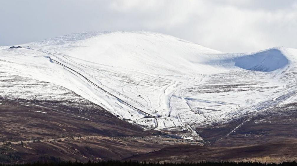 photo of a mountain with snow over the higher elevations and not on lower elevations giving a distinct bounday.