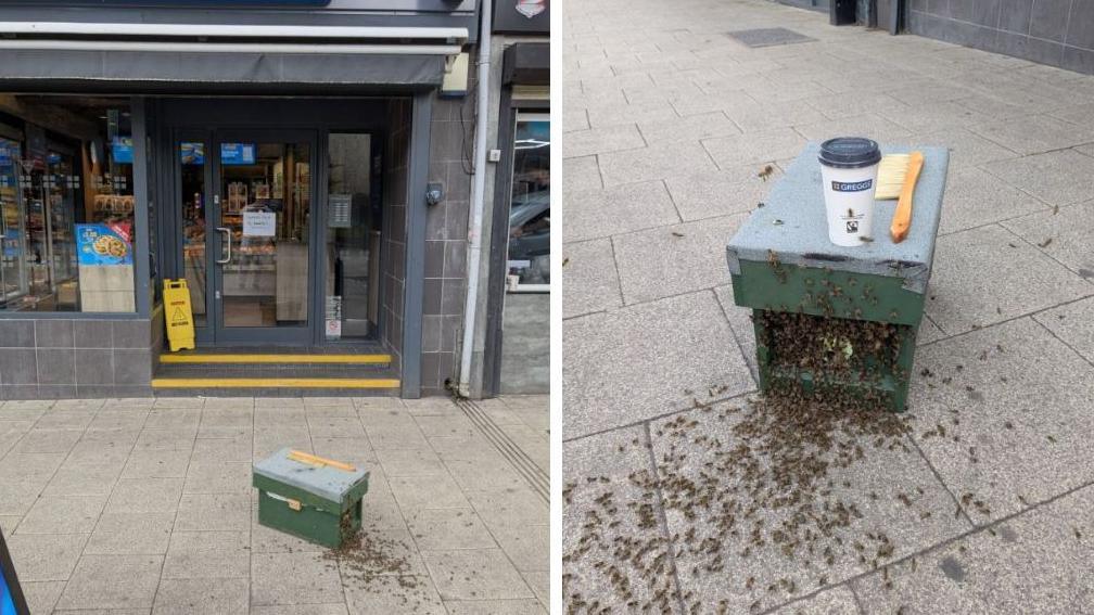 Two photos of a green box with small dots clustered around it. The one on the left can be seen in front of the glass doors to a shop with blue signs in the window and the one on the right is a close up of the box with a white disposable coffee cup on top