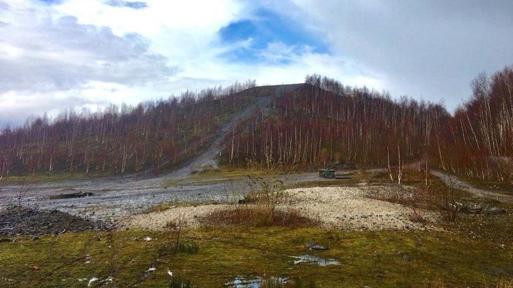 The side of a former coal tip, with trees on either side of a gravel path up to a peak.