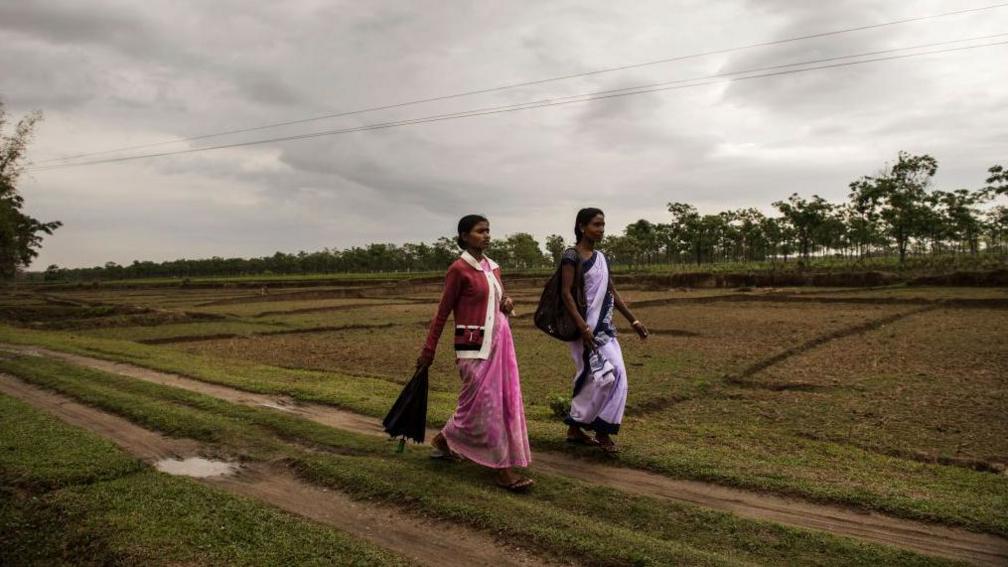 Women who work on a tea plantation in Assam, India, April 8, 2015.