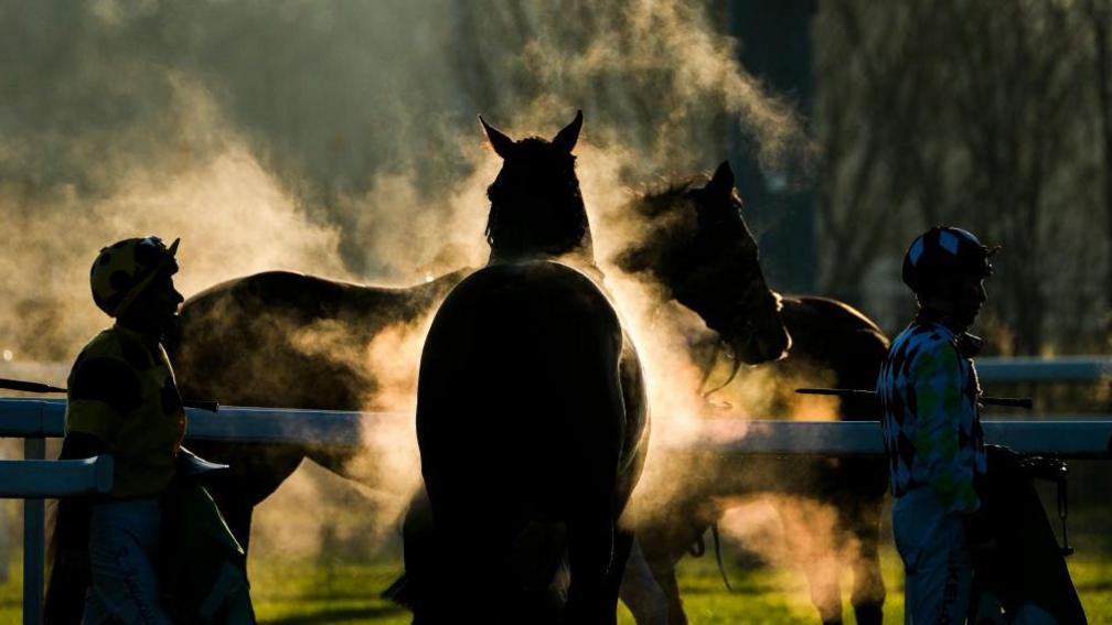 Steam from horses after a race at Chelmsford City Racecourse in Chelmsford, England