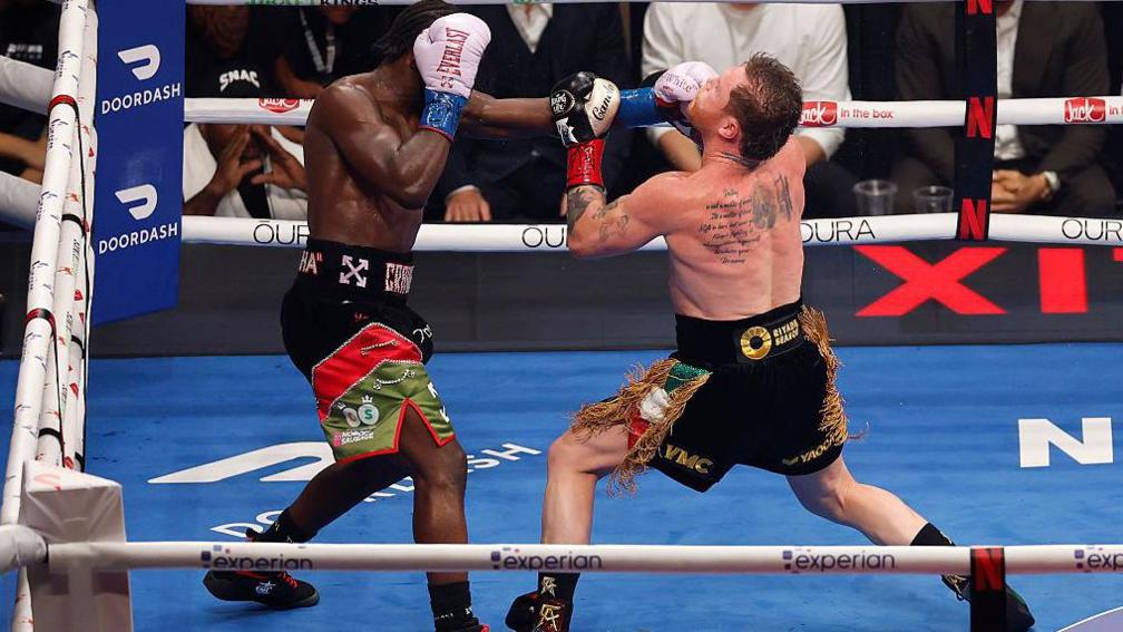 Terence Crawford punches Saul Canelo Alvarez