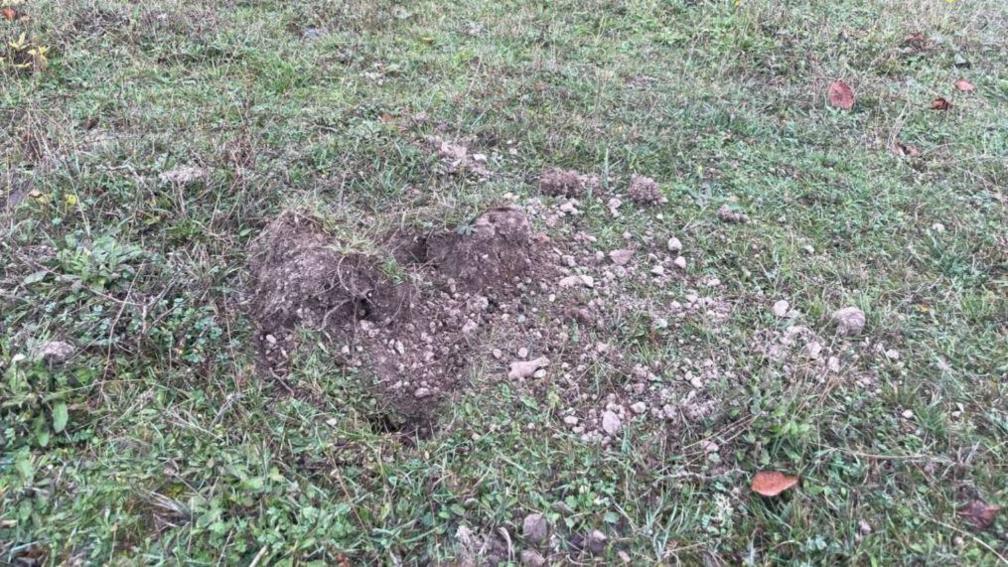 A dug up mound of turf on chalk landscape at The Larches nature reserve