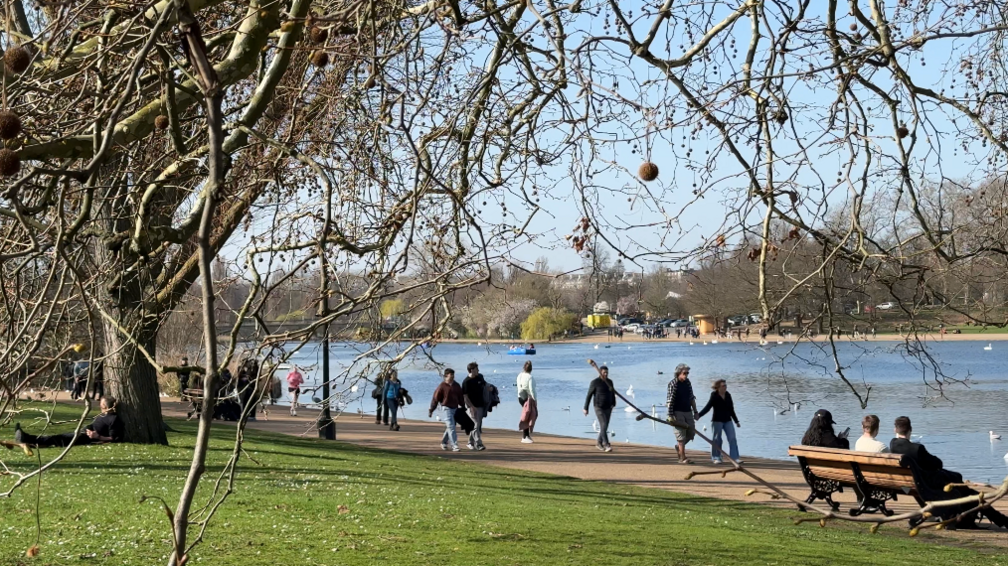 A bright day by a pond with people strolling by water in a park setting
