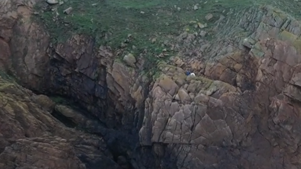 A large cliff face, the dog and the volunteer can be seen very small on the side of the cliff