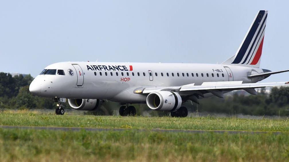 An Air France commercial aircraft, which is white with blue and red lines on its tail, sits on the runway at an airport, while grass and trees can be seen in the foreground and background (file image) 