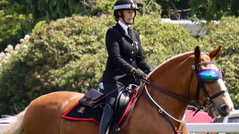Police horse, Luna, wearing sunglasses/goggles at Royal Ascot with her police rider on her back.