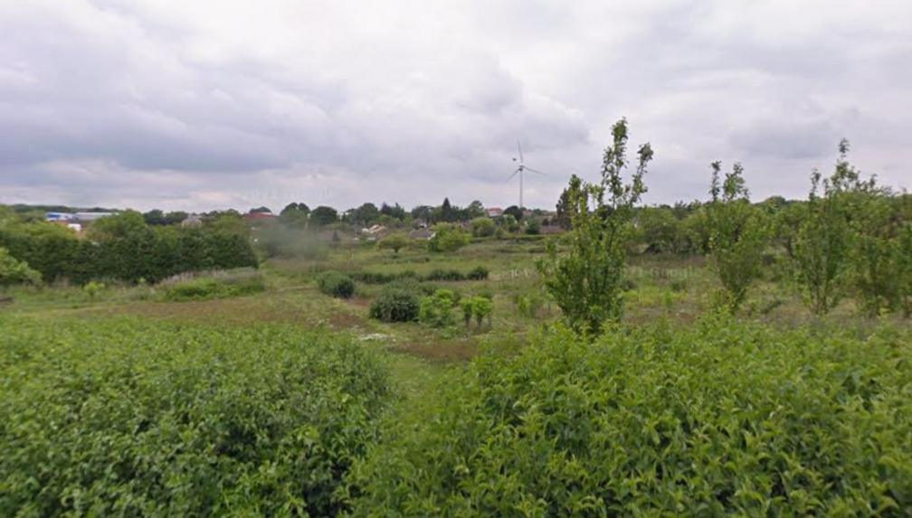 Former allotments, now slightly overgrown, with housing and a wind turbine visible in the background