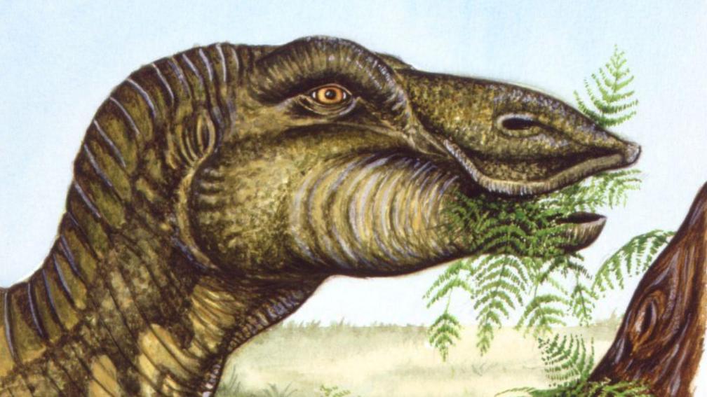 A dinosaur eating green leaves of a fern