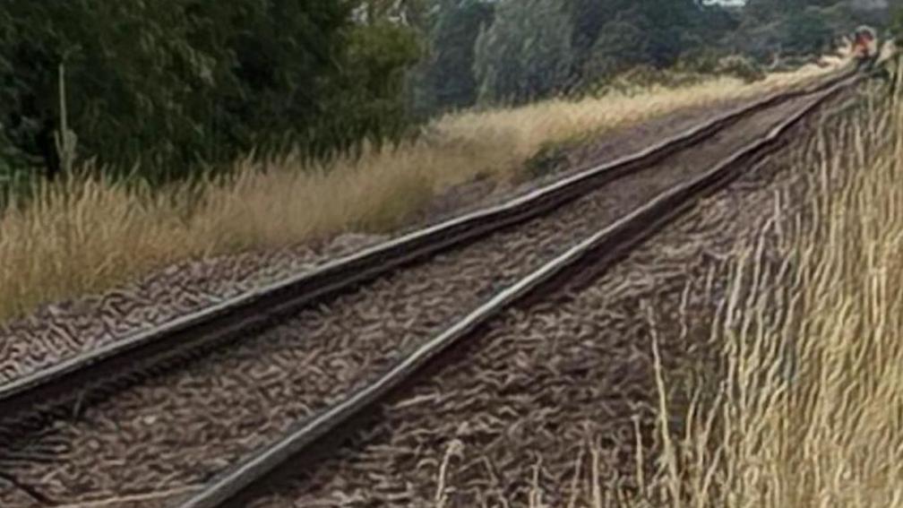 Railway tracks with earth beneath them and grasses growing at the sides