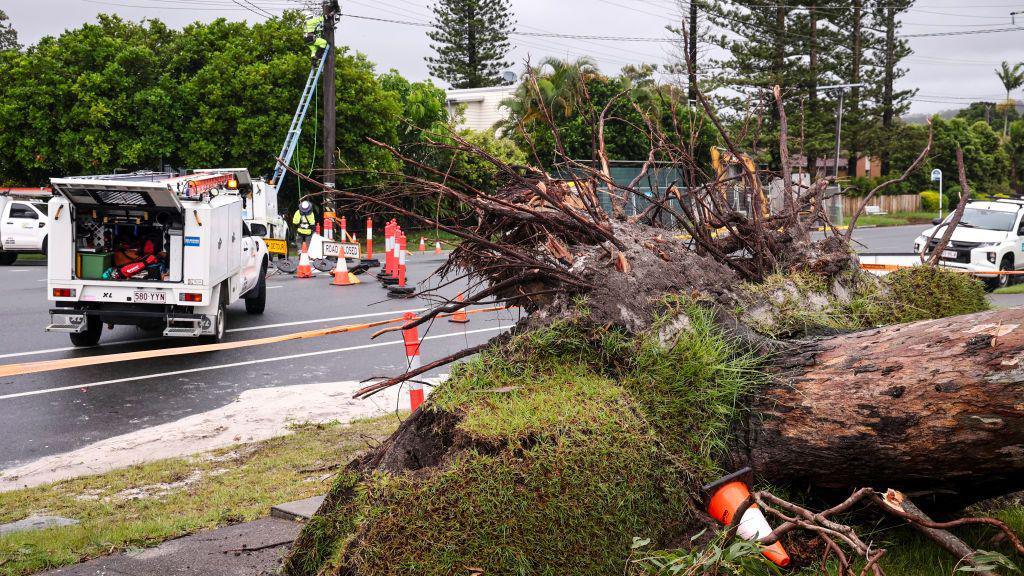 Workers fix electricity wires next to a tree uprooted by strong winds from Cyclone Alfred in the suburb of Elanora on the Gold Coast on March 8, 2025.