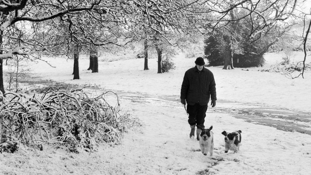 A black and white image shows a man walking with two small dogs in a snowy area, with snow-covered trees overhead and in the background