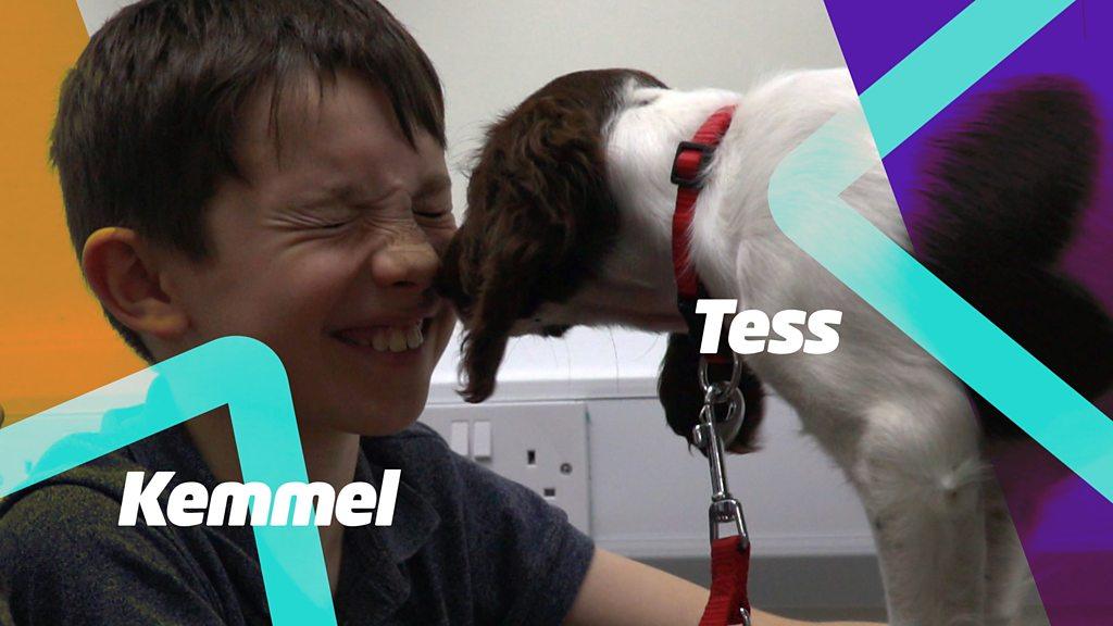 A boy with the text "Kemmel" and a dog with the text "tess".